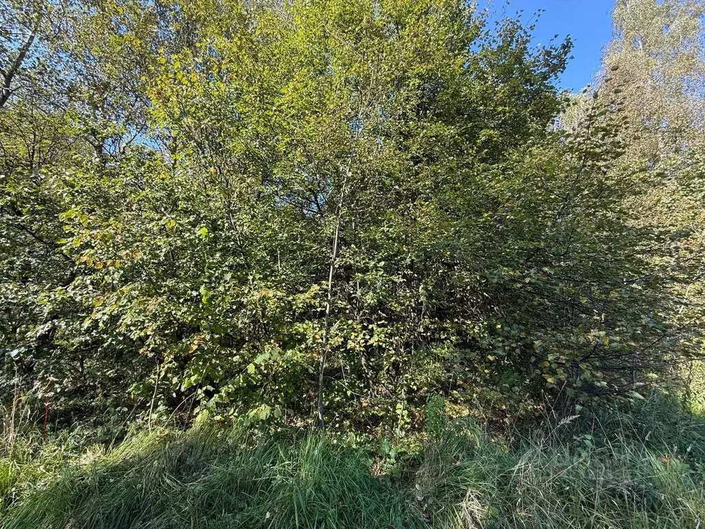 Участок в Московская область, Подольск Львовский мкр,  (15.0 сот.) - Фото 1