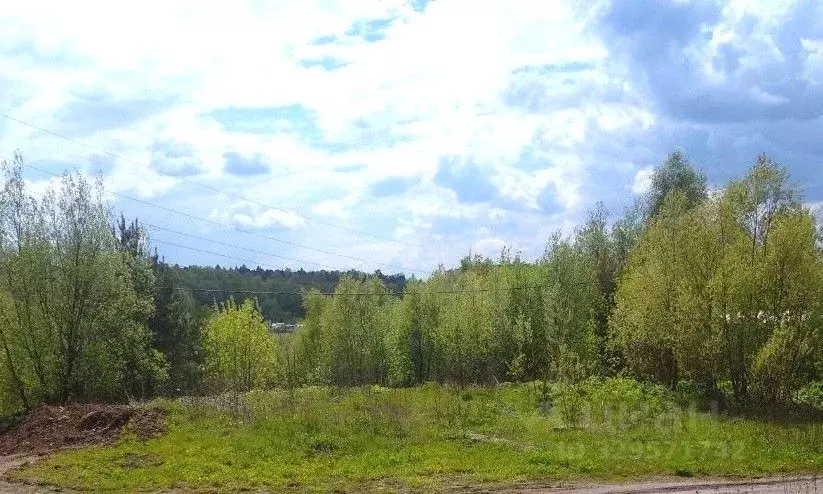 Участок в Московская область, Пушкинский городской округ, Поляны СТ  ... - Фото 1
