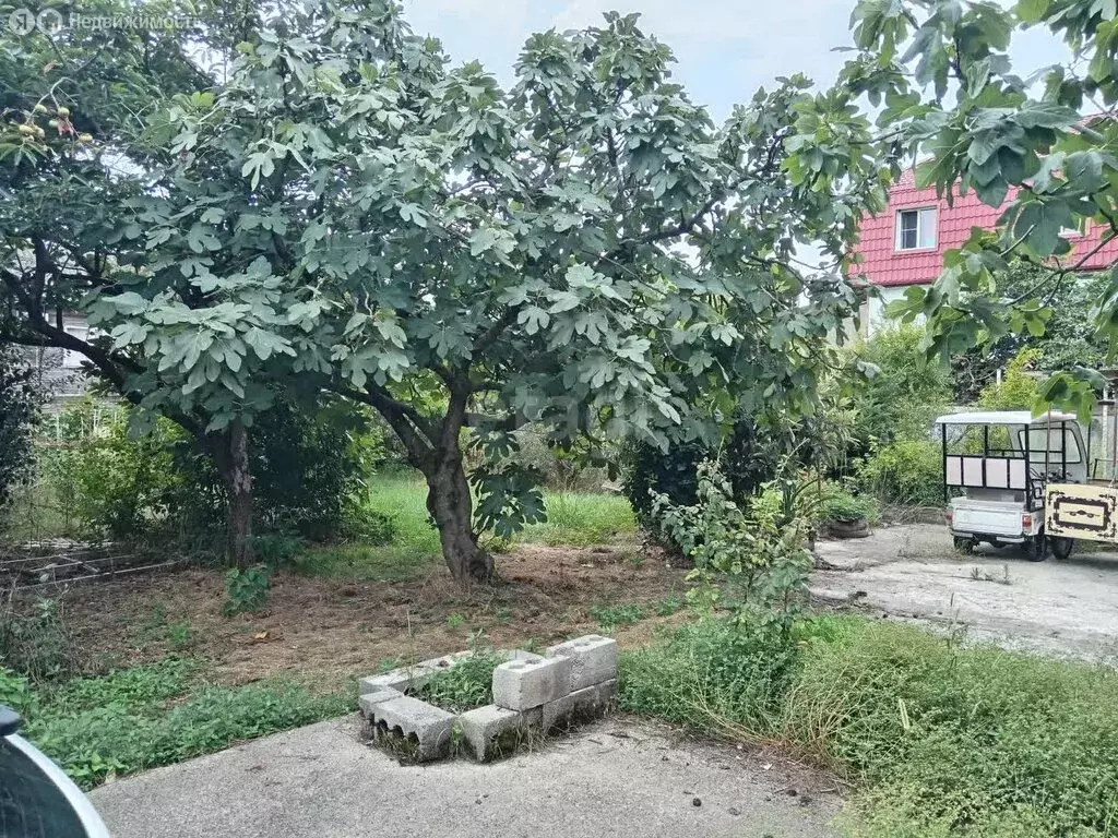 Участок в Краснодарский край, городской округ Сочи, село Весёлое (6 м) - Фото 0