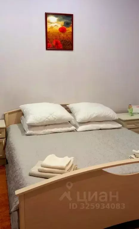 1-к кв. Псковская область, Гдов ул. Яна Фабрициуса, 25 (20.0 м) - Фото 1