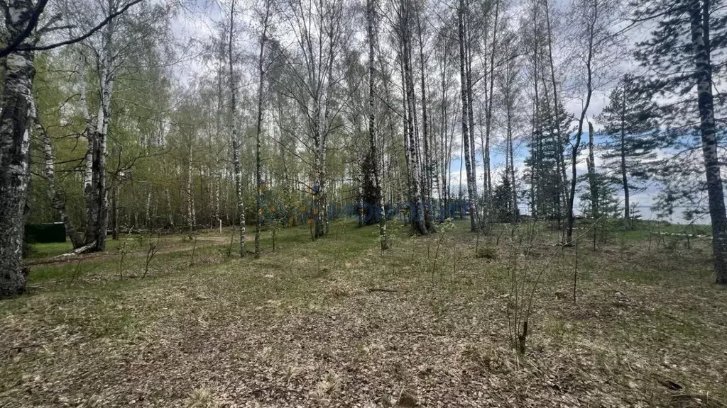 Участок в Нижегородская область, Сокольский городской округ, д. ... - Фото 1