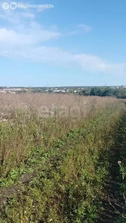 Участок в Республика Мордовия, городской округ Саранск, посёлок ... - Фото 2