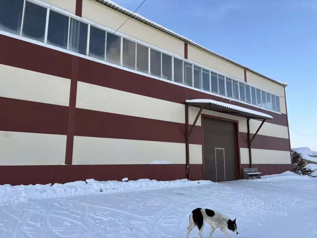 Склад в Свердловская область, Арамиль ул. Гарнизон, 5 (300 м) - Фото 1