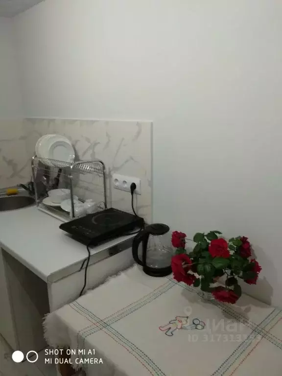 Студия Краснодарский край, Сочи ул. Верхняя Лысая Гора, 10/7 (22.0 м) - Фото 0