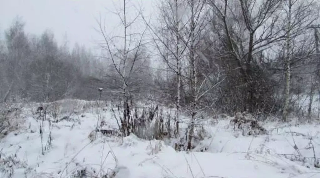 Участок в Московская область, Коломна городской округ, с. Нижнее ... - Фото 1