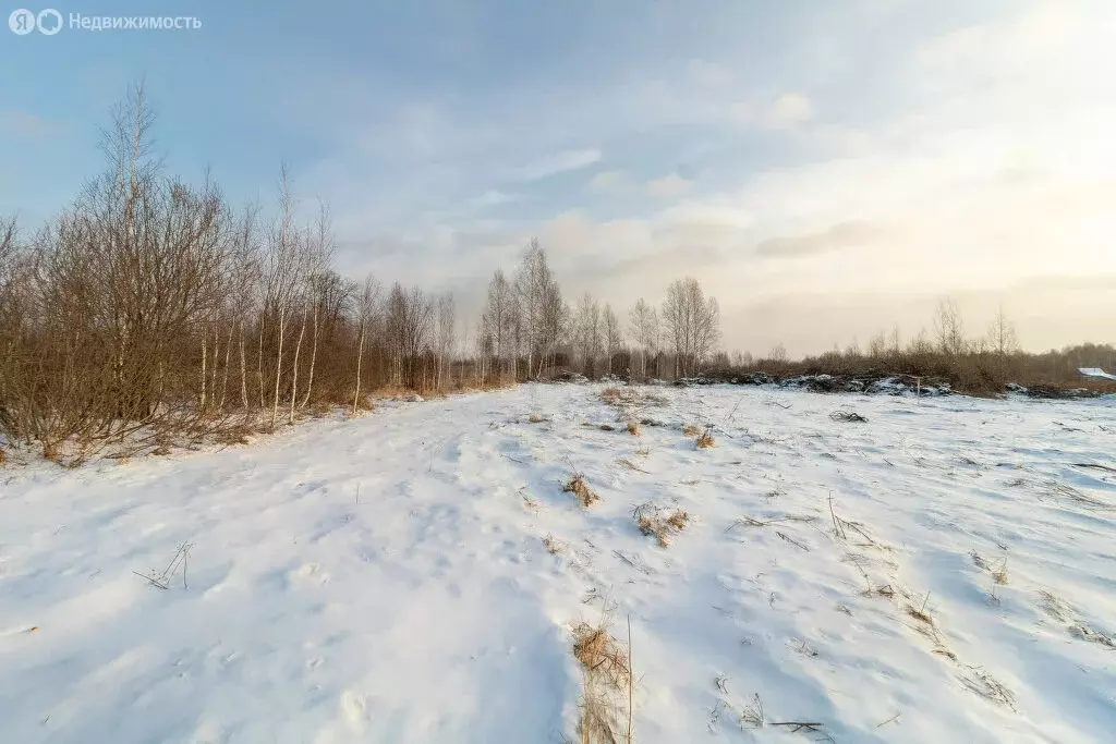 Участок в Нижнетавдинский район, садоводческое некоммерческое ... - Фото 0