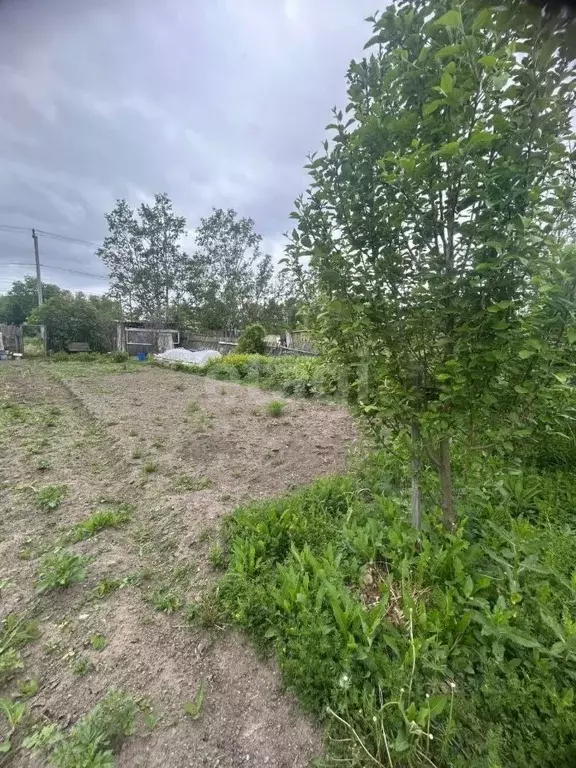 Участок в Хабаровский край, Хабаровский район, с. Ракитное, 59-й кв-л ... - Фото 1