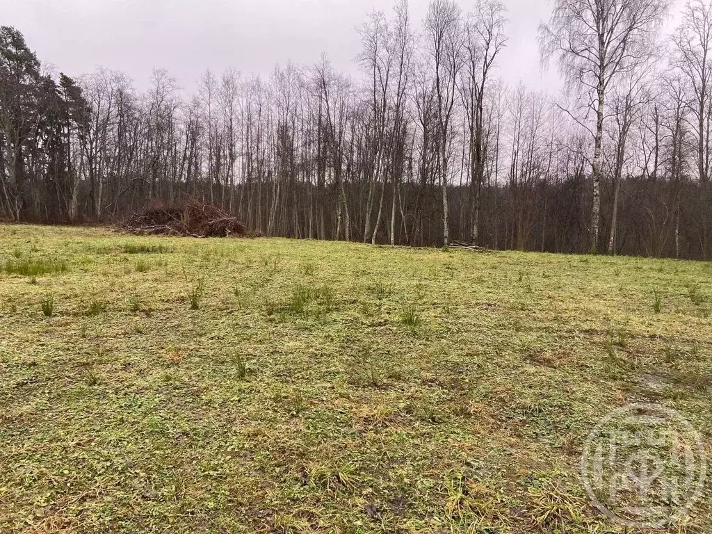 Участок в Ленинградская область, Лужский район, Володарское с/пос, ... - Фото 2