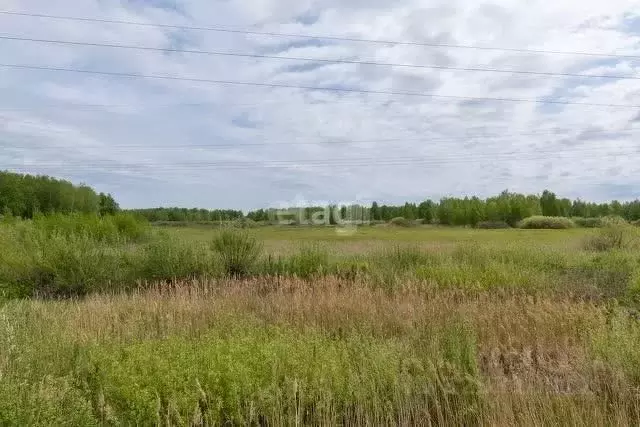 Участок в Тюменская область, Нижнетавдинский муниципальный округ, пос. ... - Фото 0