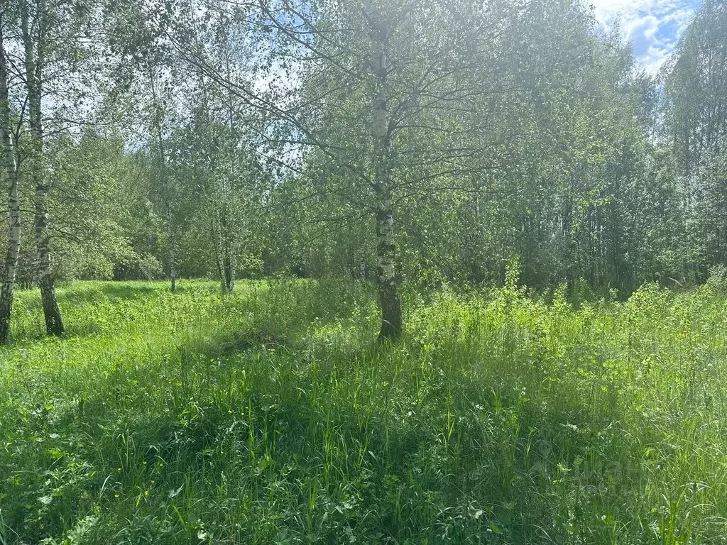 Участок в Московская область, Богородский городской округ, д. Кабаново ... - Фото 0