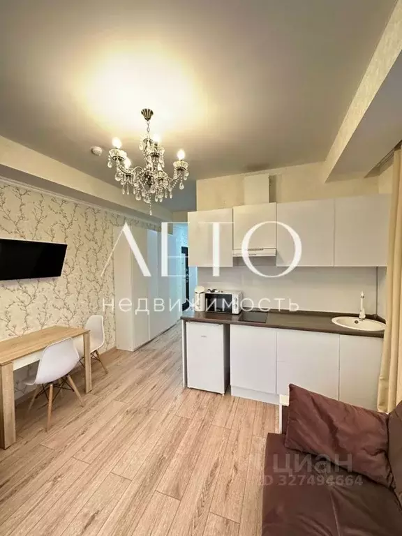 1-к кв. Краснодарский край, Сочи Виноградная ул., 89/2 (29.0 м) - Фото 1