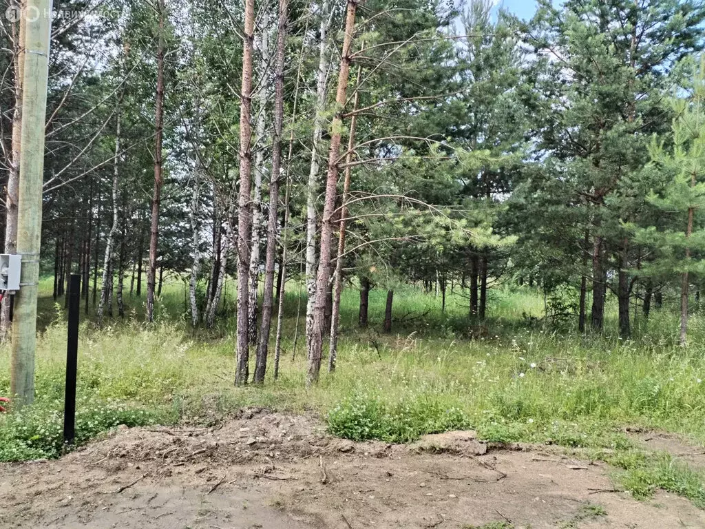 Участок в Свердловская область, Белоярский муниципальный округ, ... - Фото 1