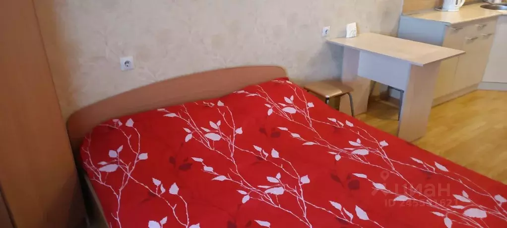 Студия Кировская область, Киров ул. Пугачева, 10 (26.0 м) - Фото 2