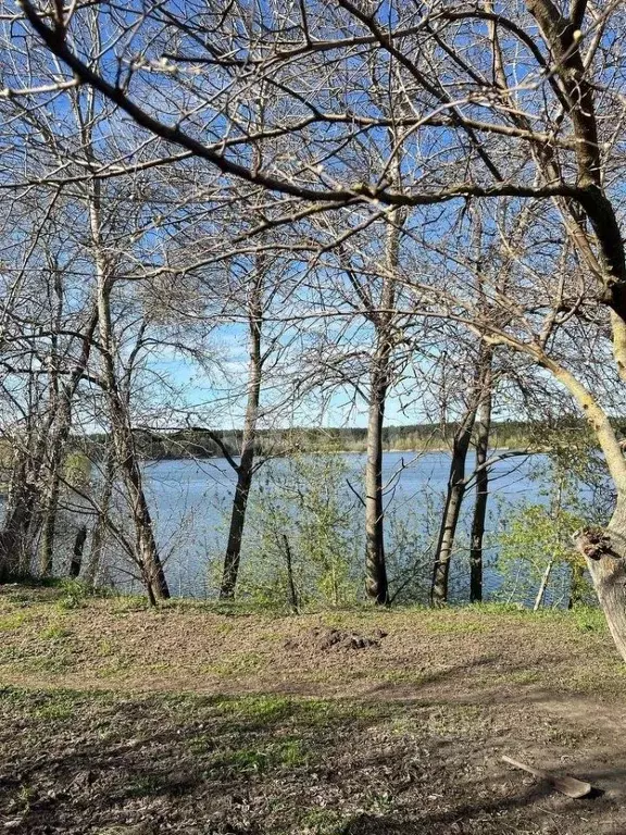 Дом в Белгородская область, Белгород Песчаная ул., 29 (46 м) - Фото 1