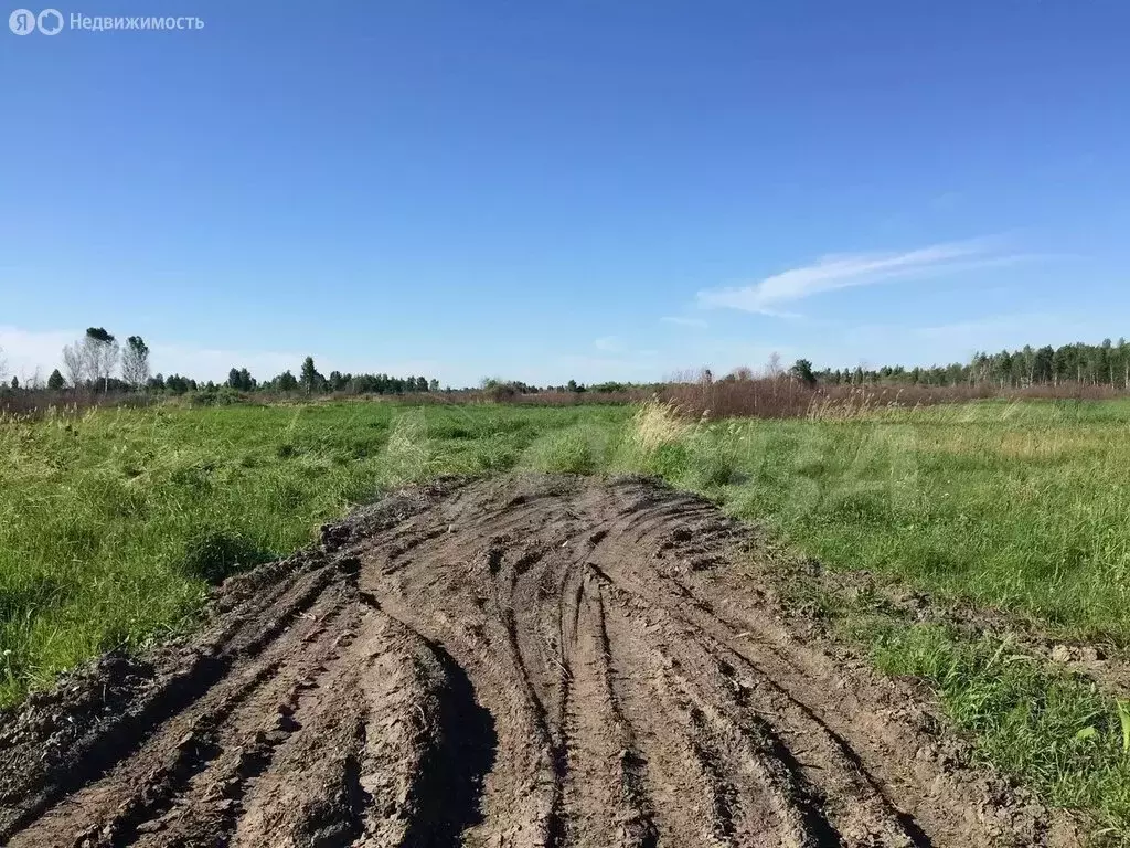 Участок в Нижнетавдинский район, село Тюнево (15 м) - Фото 0