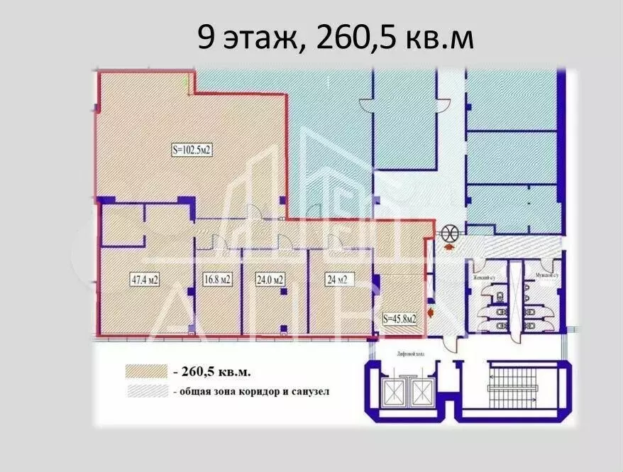 Офис 273м2 - Фото 0