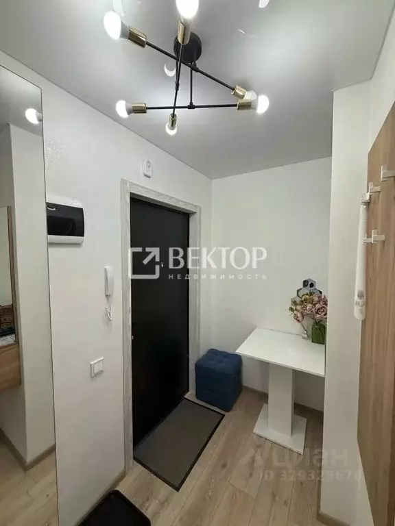 Студия Ярославская область, Ярославль ул. Брагинская, 18к2 (27.7 м) - Фото 2