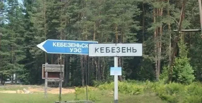 Участок в Алтай, Турочакский район, с. Старый Кебезень  (17.0 сот.) - Фото 1