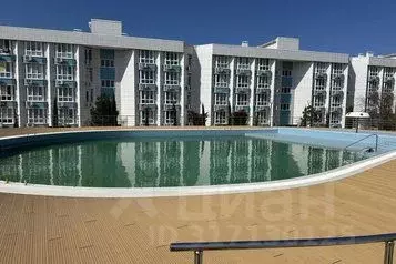 1-к кв. Севастополь ул. Челнокова, 19Ак4 (26.0 м) - Фото 0