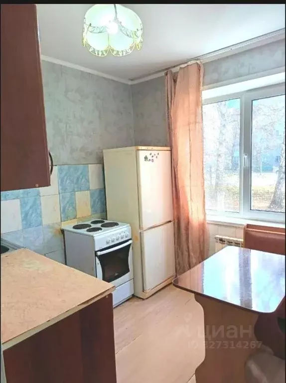 1-к кв. Алтайский край, Барнаул ул. Антона Петрова, 262 (35.0 м) - Фото 1