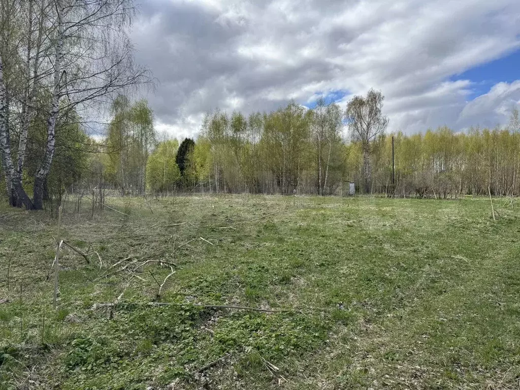 Участок 16,5 сот. (ИЖС) - Фото 0