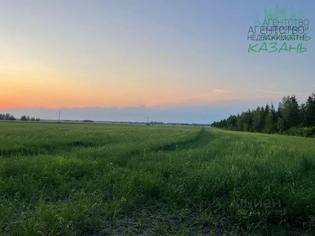 Участок в Татарстан, Лаишевский район, с. Рождествено  (379.0 сот.) - Фото 2