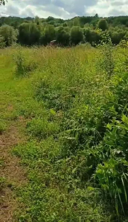 Участок в Новгородская область, Маловишерский район, Веребьинское ... - Фото 1