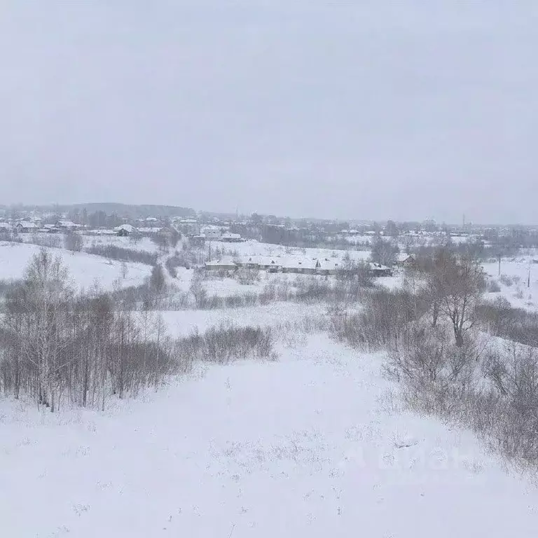 3-к кв. Кемеровская область, Анжеро-Судженск ул. Сосновая, 10 (54.9 м) - Фото 2