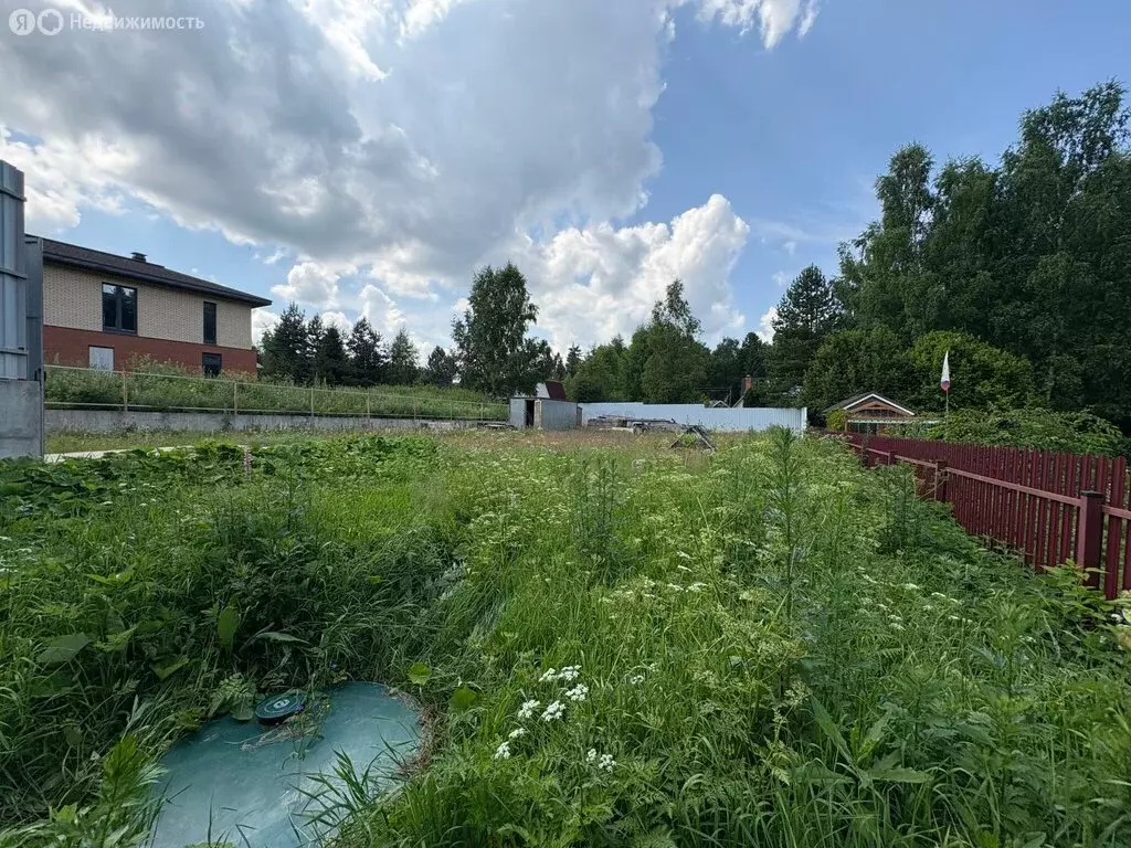 Участок в Московская область, городской округ Солнечногорск, садовое ... - Фото 1