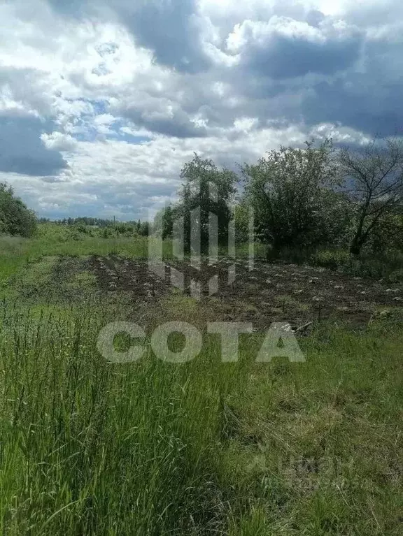 Участок в Воронежская область, с. Новая Усмань  (17.14 сот.) - Фото 2