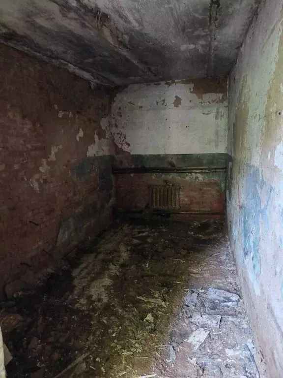 Помещение свободного назначения в Московская область, Можайск ул. 20 ... - Фото 1