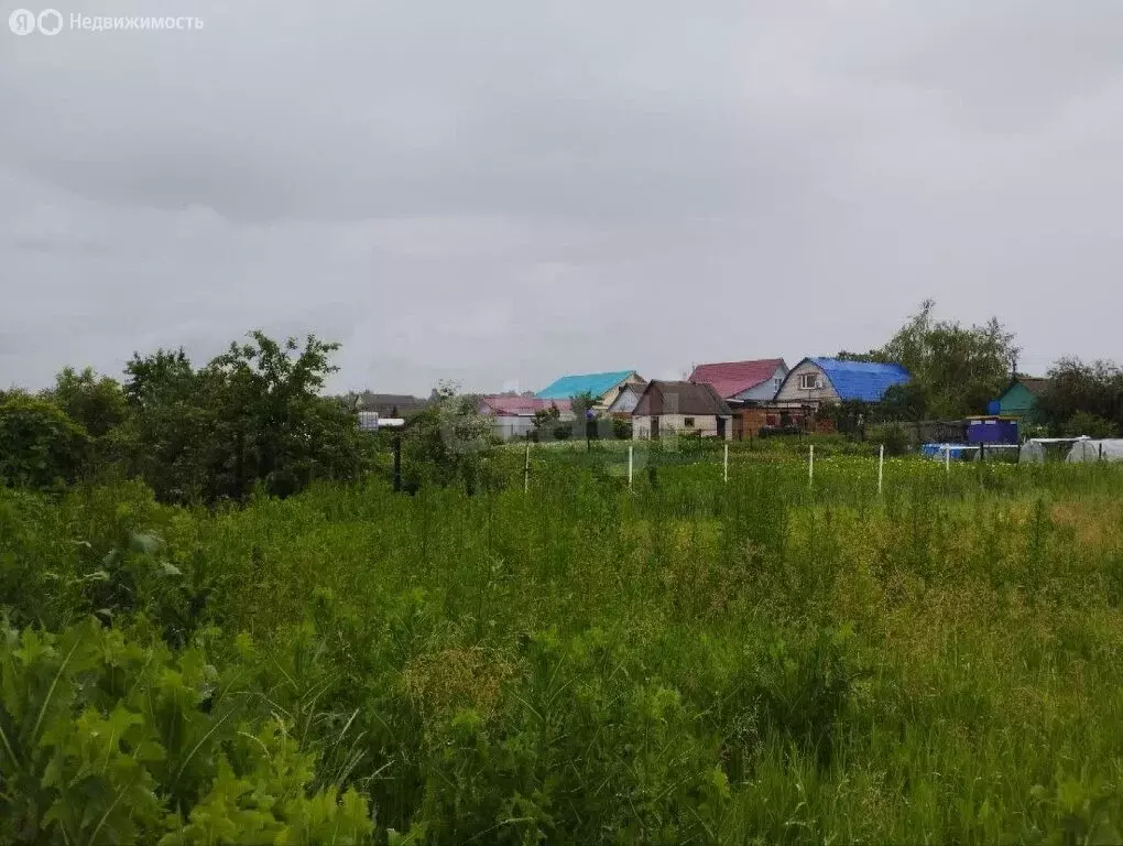 Участок в село Хоперское, Советская улица (5.82 м) - Фото 1