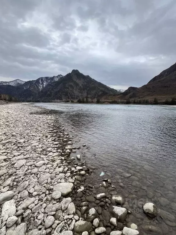 Участок в Алтай, Чемальский район, Чемальское с/пос  (50.0 сот.) - Фото 2