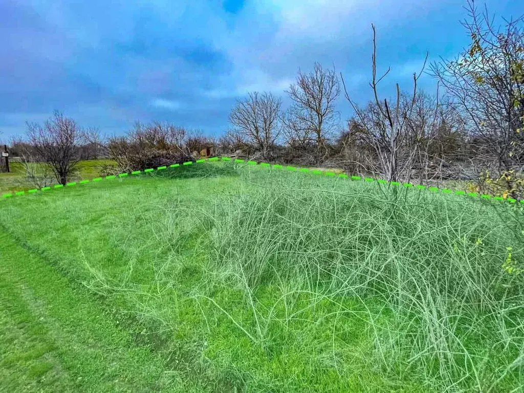 Участок в Крым, Сакский район, Митяевское с/пос, Эскулап СНТ  (5.2 ... - Фото 2