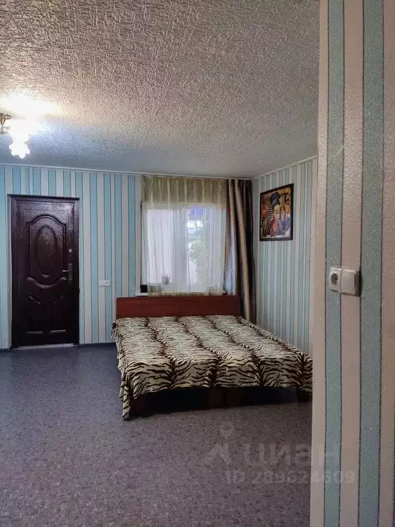 1-к кв. Крым, Ялта муниципальный округ, Симеиз пгт ул. Красномаякская, ... - Фото 1