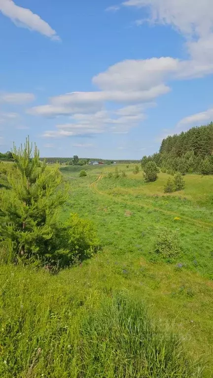 Участок в Нижегородская область, Ардатовский муниципальный округ, ... - Фото 1