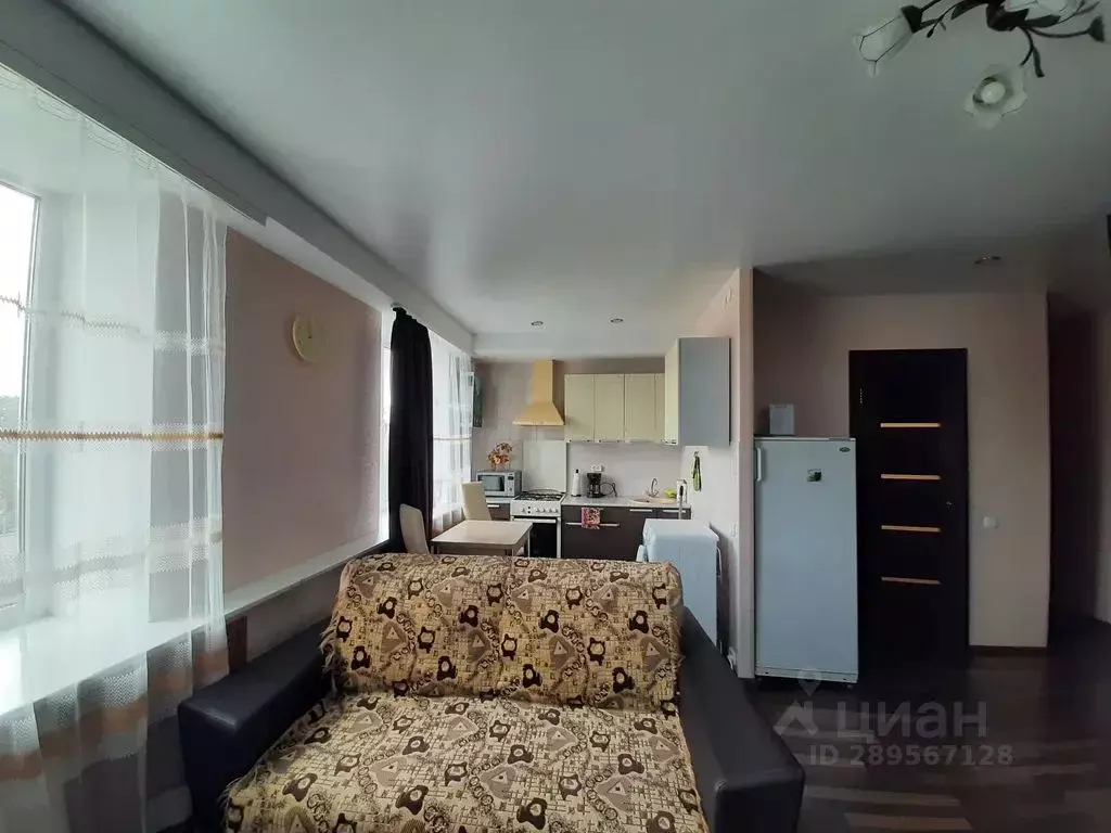 1-к кв. Псковская область, Псков Завеличье исторический район, пер. ... - Фото 1