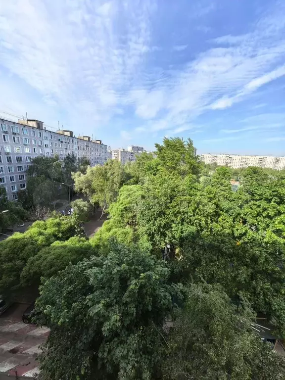 3-к. квартира, 50,6 м, 7/9 эт. - Фото 0