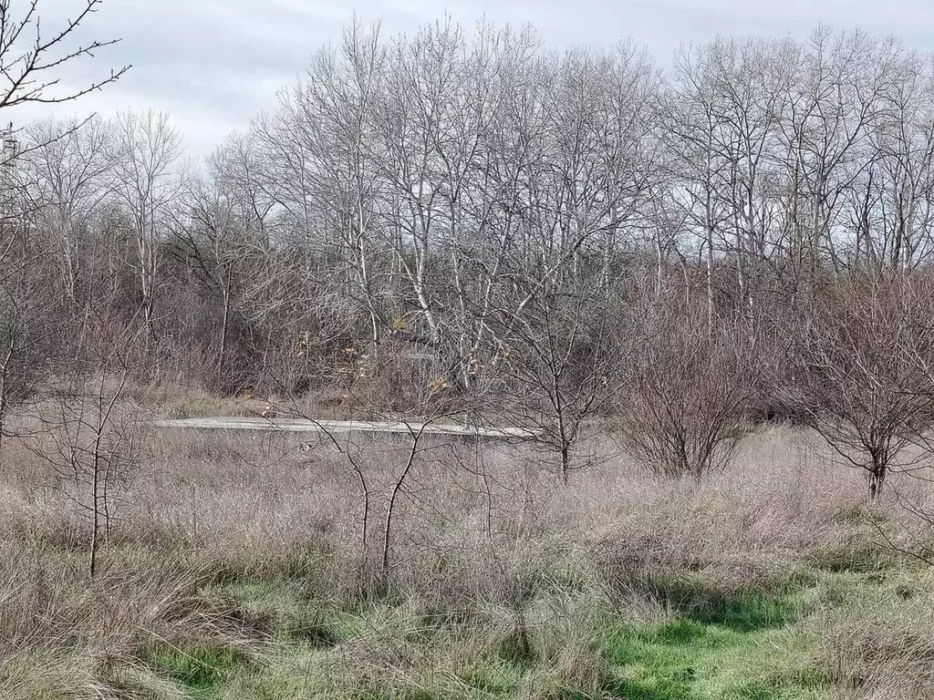 Участок в Краснодарский край, Абинск ул. Сургутская (8.0 сот.) - Фото 0