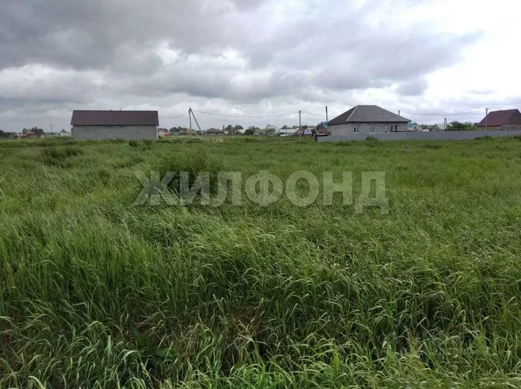 Участок в Новосибирская область, Коченево рп ул. Тенистая (12.85 сот.) - Фото 1