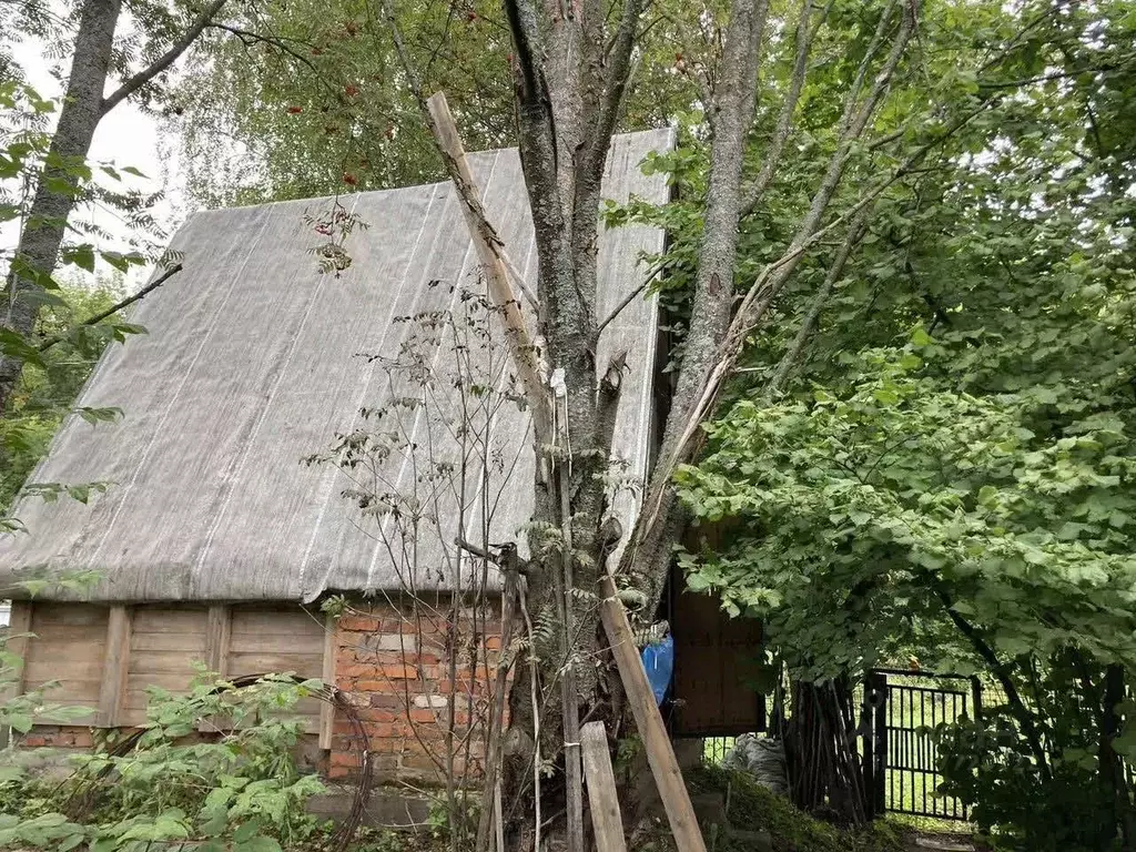 Дом в Ярославская область, Ярославль Резинотехника-2 СНТ, ул. ... - Фото 1