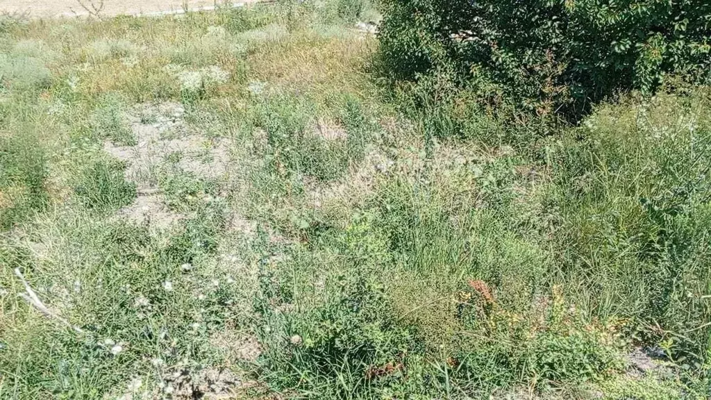 Участок в Краснодарский край, Новороссийск городской округ, Победа ... - Фото 1