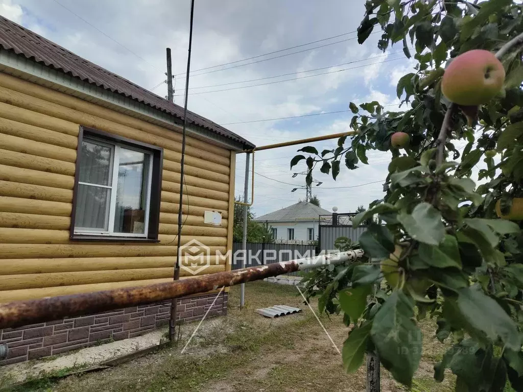 Дом в Челябинская область, Еманжелинский муниципальный округ, пос. ... - Фото 2