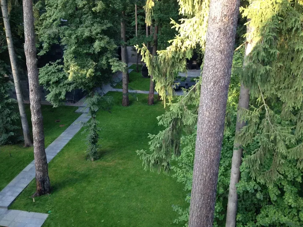 Дом в Московская область, Одинцовский городской округ, пос. Николина ... - Фото 1