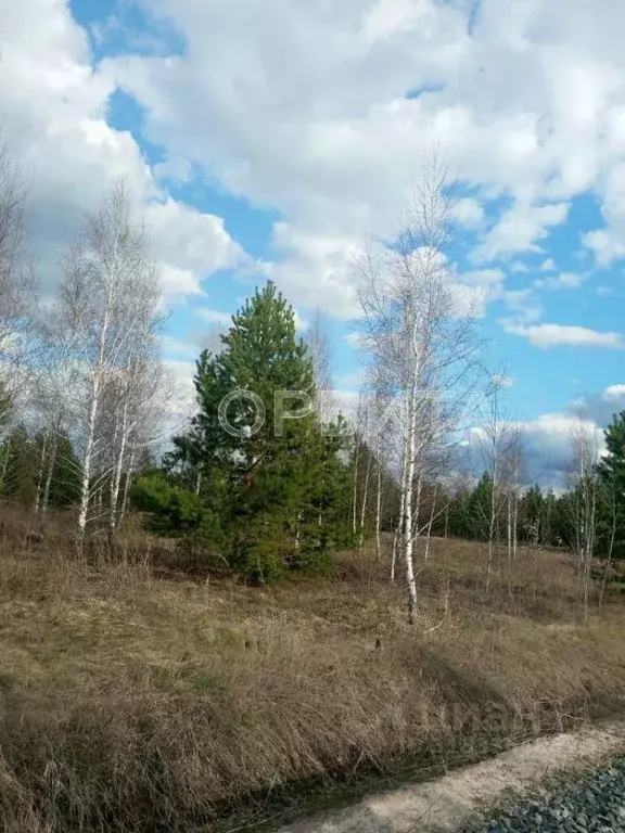 Участок в Тюменская область, Тюменский район, Новокаменский кп ул. ... - Фото 0