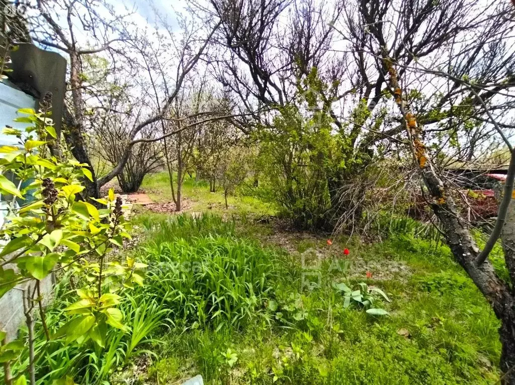 Дом в Калачёвский район (30 м) - Фото 1