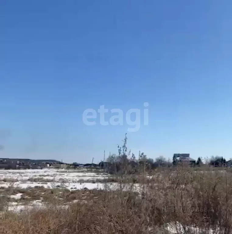 Участок в Амурская область, Благовещенский район, с. ... - Фото 1