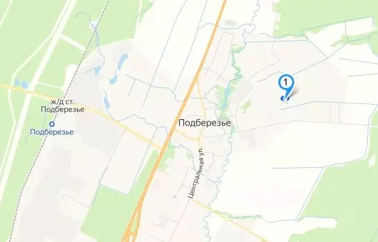 Участок в Новгородская область, Новгородский район, Трубичинское ... - Фото 1