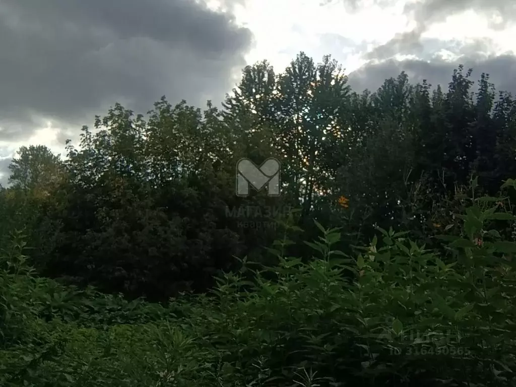 Участок в Ленинградская область, Кировский район, Назиевское городское ... - Фото 1