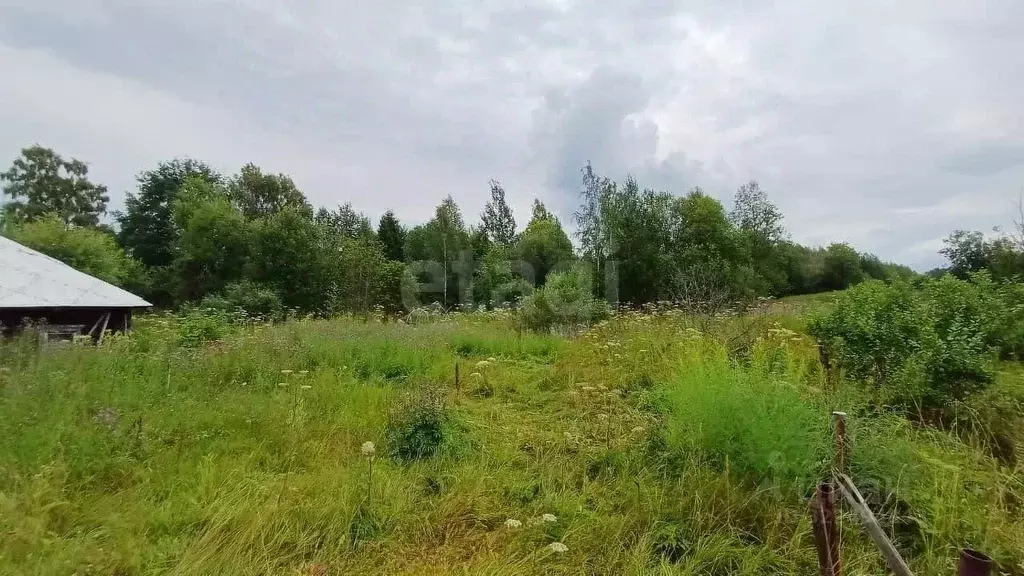 Участок в Вологодская область, Грязовецкий муниципальный округ, д. ... - Фото 1